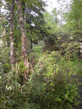 DSCN5362