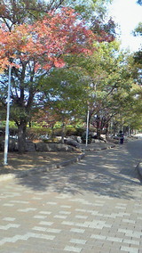 200910271329000