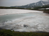 DSCN5394