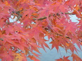 DSCN1323