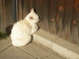 DSCN4259